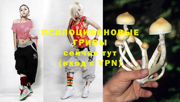 дурь Армянск