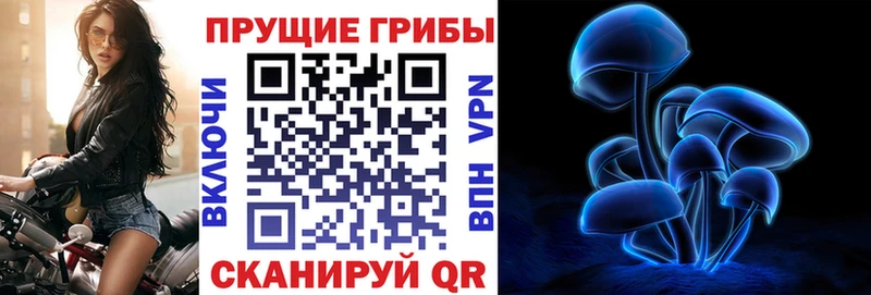 Галлюциногенные грибы мухоморы  купить   Полысаево 